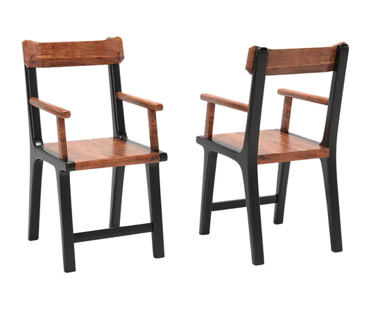 Dravena Dining Chairs Set of 2